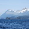 the-actual-salisbury-sound-sitka-alaska